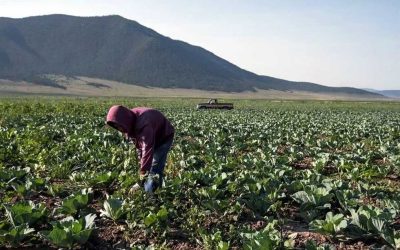 Generan efecto dominó los altos costos del crédito