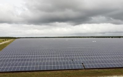 Prevé industria solar crecer hasta un 20% en 2024 por temperaturas más altas