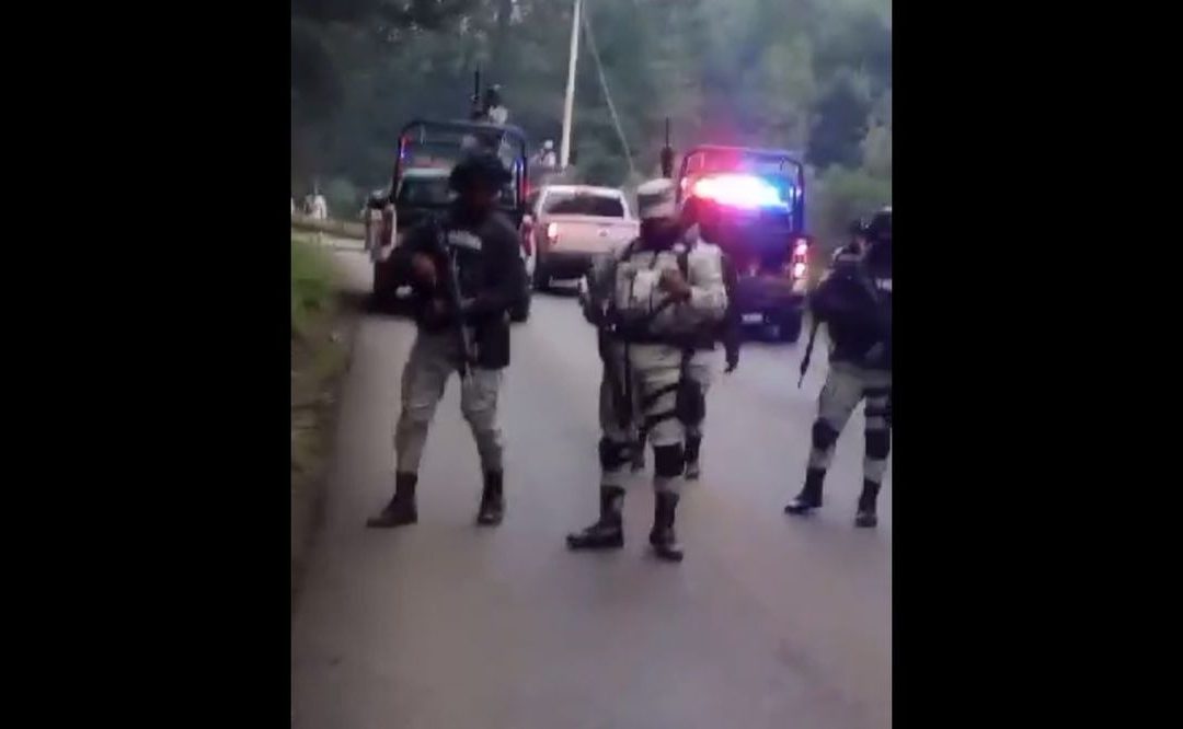 Registran enfrentamiento entre Guardia Nacional y presuntos talamontes en Huitzilac, Morelos