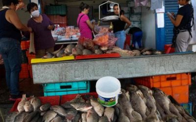 Sedeco estima alza de 5.2% en venta de mariscos y pescados