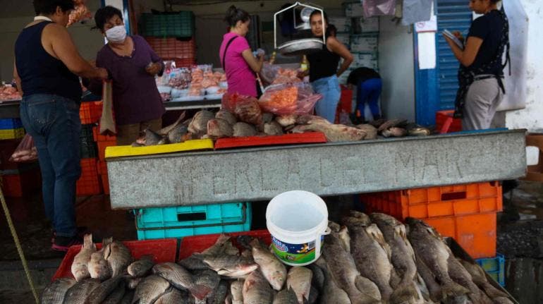 Sedeco estima alza de 5.2% en venta de mariscos y pescados