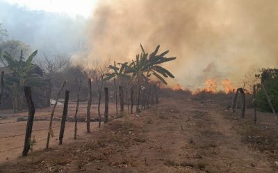 Suman 9 incendios forestales activos en varios municipios de Sinaloa