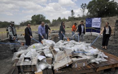 La Fiscalía Capitalina en coordinación con Sedena destruyeron 51 mil dosis de droga