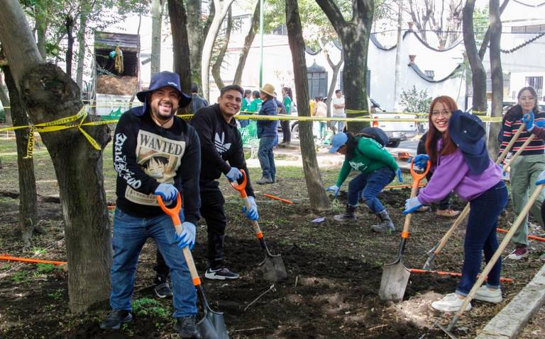 Tlalpan siembra 300 plantas en un área de mil 200 metros en el Parque Vergel