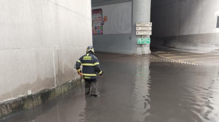 Se ‘cae el cielo’ en la CDMX; lluvias dejan árboles derrumbados