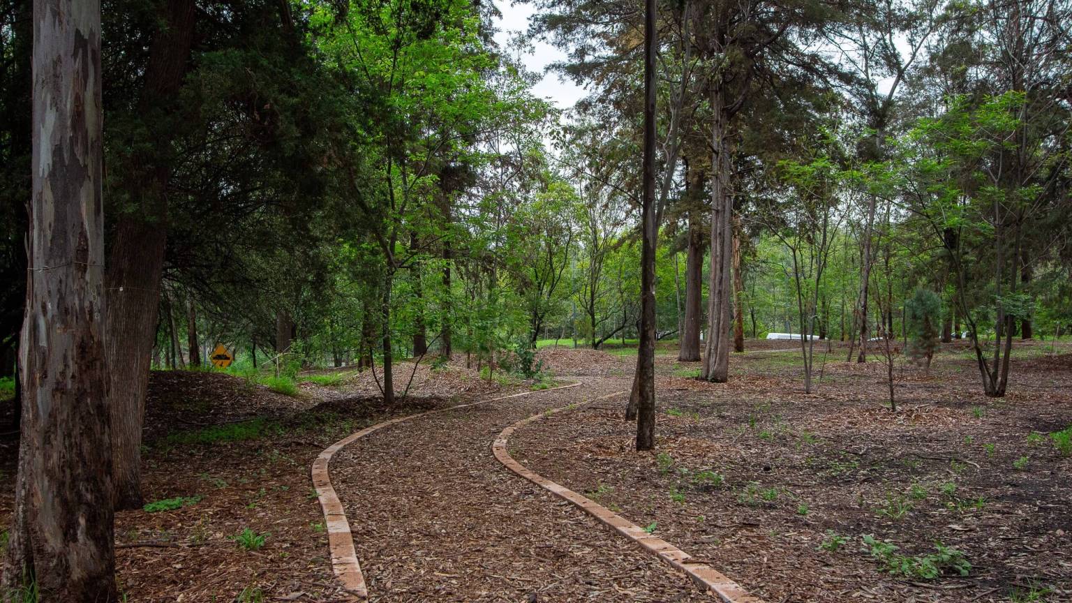 Bosque de Chapultepec es víctima de al menos 30 proyectos inmobiliarios