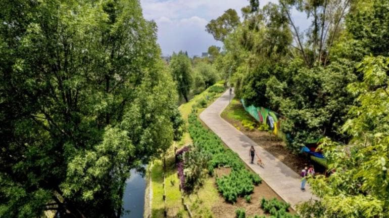 Sedema y GYBN presentan festival por la naturaleza, habrá talleres y presentaciones artísticas