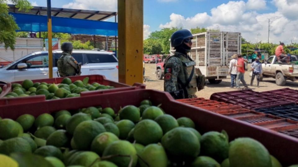 Ejército y Guardia Nacional despliegan más de 600 efectivos en Tierra Caliente, Michoacán