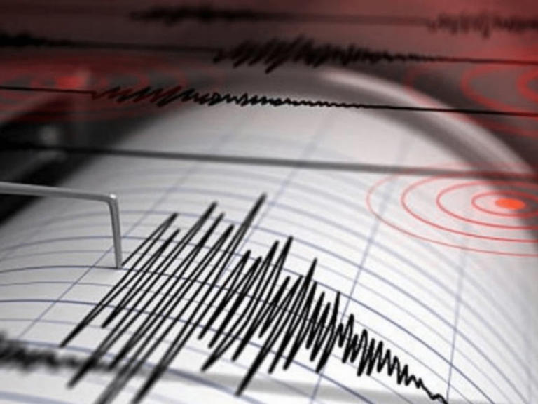 Sismológico reporta microsismo de magnitud 1.8 en Álvaro Obregón, CDMX; no se reportan daños