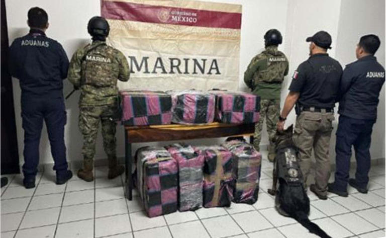 Marina decomisa 350 kilos de cocaína en Ensenada, BC; iban distribuidos en 300 paquetes al interior de un contenedor