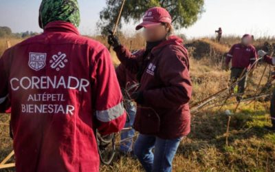 Rescatan 26 hectáreas de suelo de conservación en zona cerril de Xochimilco