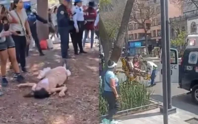 ONG se solidariza con mujer trans golpeada en Alameda Central; exige políticas públicas en favor de ellas