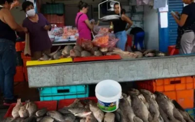 Sedeco estima derrama económica de mil 697 mdp en Cuaresma 2025 en CDMX