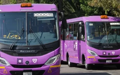 Invertirá Semovi 111 mdp para sustituir microbuses en GAM y Xochimilco