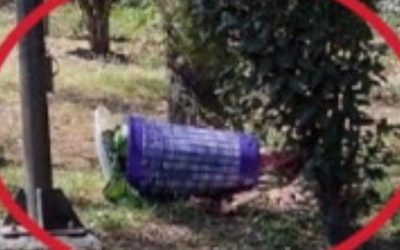 Hallan restos humanos dentro de un bote en la Unidad Habitacional de Tlatelolco