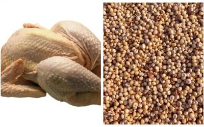 China suspende la importación de productos de pollo y sorgo de empresas de EU
