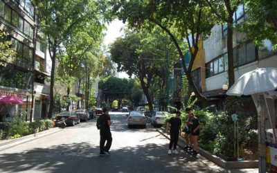 Comerciantes de Zona Rosa mejorarán sus negocios rumbo al Mundial 2026