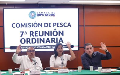 C. de Diputados aprueba reforma para impulsar capacitación a empresas pesqueras y acuícolas operadas por mujeres y grupos vulnerables