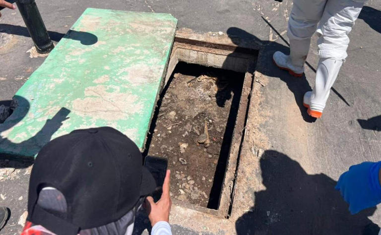 Colectivo Sabuesos Guerreras halla restos óseos y piel humana en fosas sépticas de Culiacán