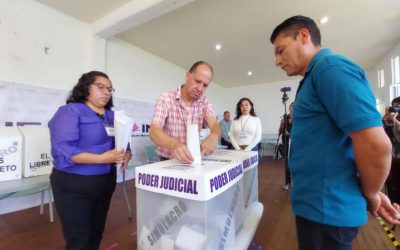 Senadora de Morena válida votar con acordeón