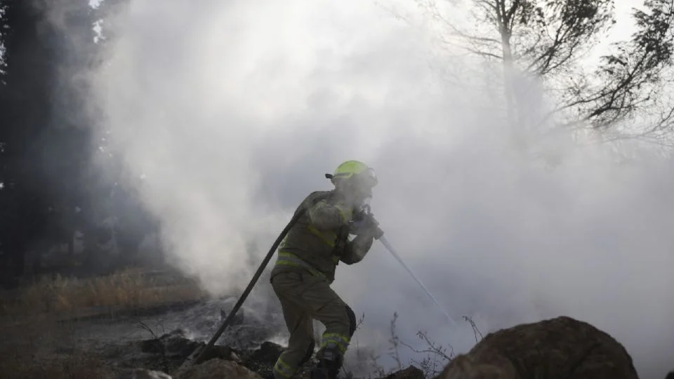 Al menos ocho países envían aviones a Israel para combatir los incendios que arrasan un bosque de pinos