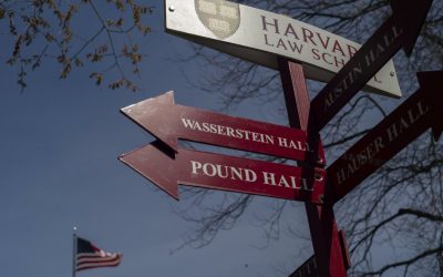 Jueza bloquea temporalmente intento de Trump de prohibir inscripción de estudiantes extranjeros en Harvard