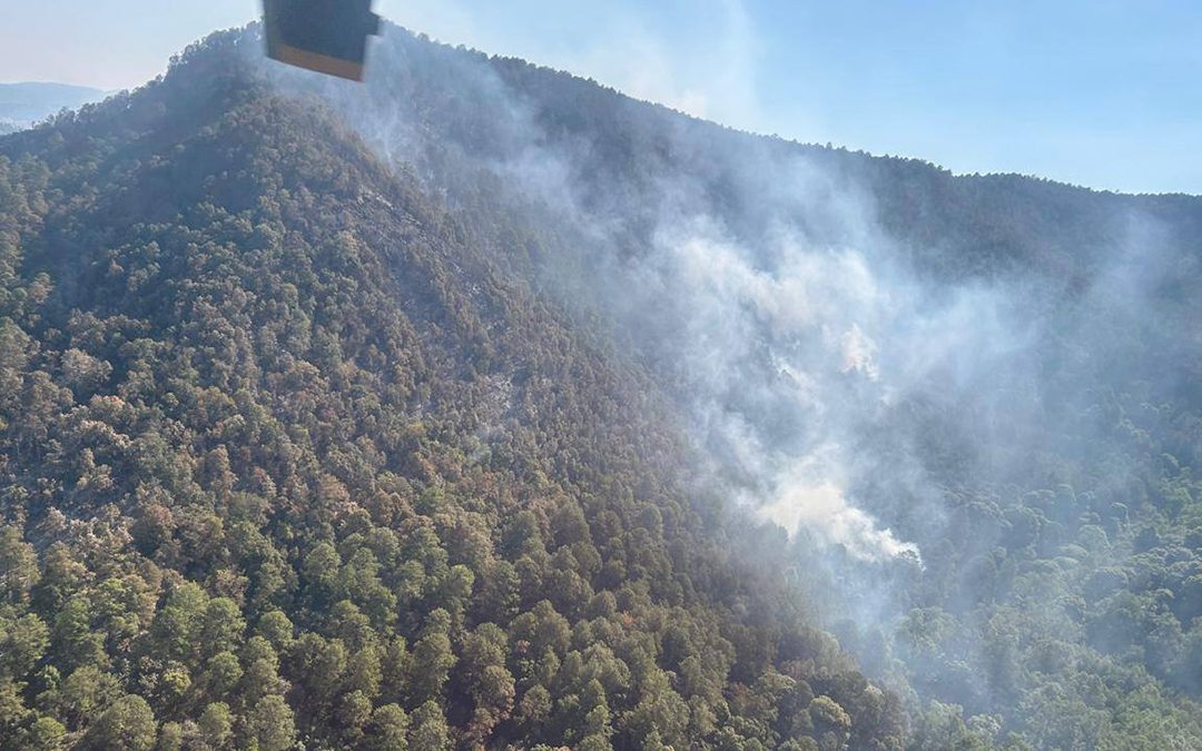 Liquidan al 50% incendio en santuario de la mariposa monarca en Michoacán