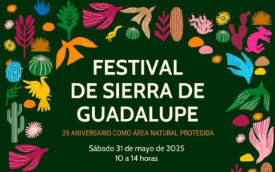Sierra de Guadalupe celebra 35 años como tesoro natural de la CDMX