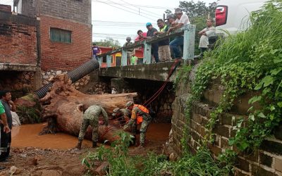 Eficaz apoyo de las Fuerzas Armadas a damnificados por “Erick”