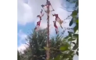 Cinco voladores de Papantla caen desde torre ceremonial en Veracruz; se reportan estables