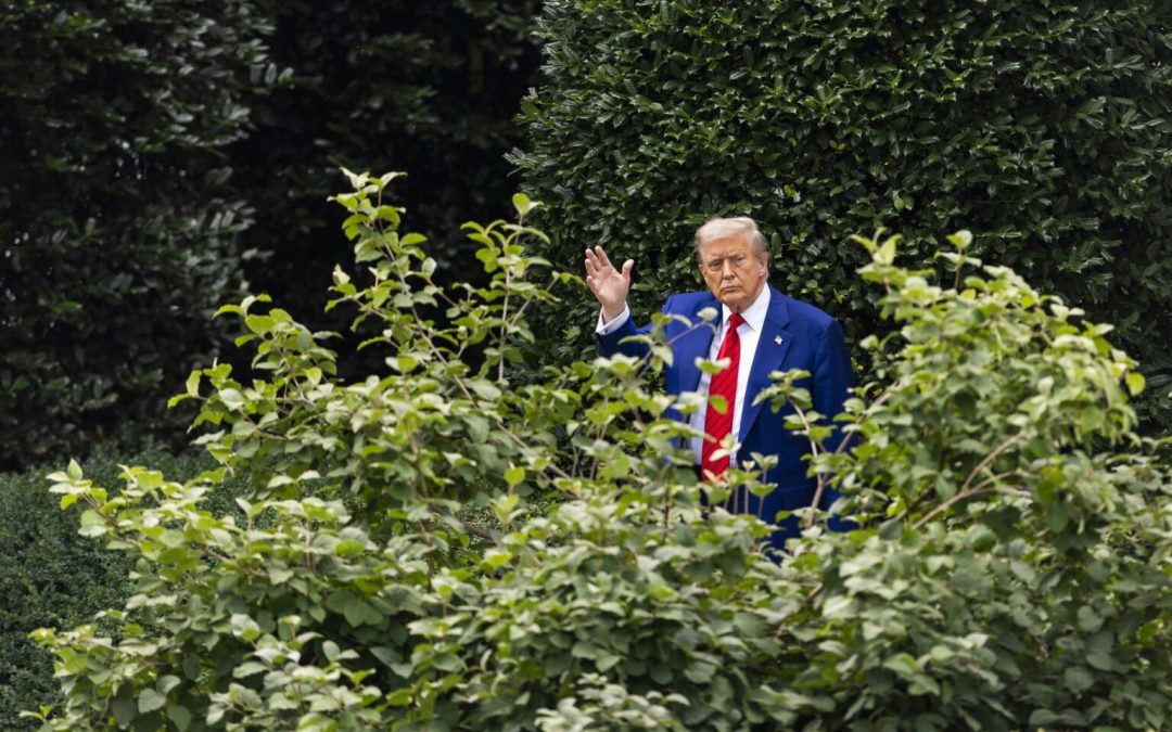 Trump ordena pavimentar el emblemático jardín de rosas de la Casa Blanca