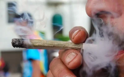 En CDMX se tolera el consumo de marihuana, pero no su venta, señala Brugada