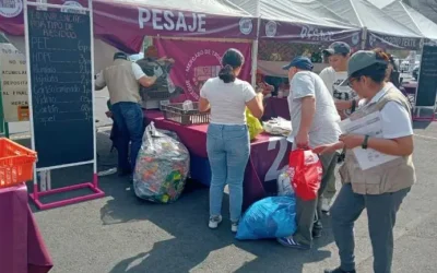 Mercado del Trueque en el Bosque de Tlalpan: qué sí y qué no puedes llevar