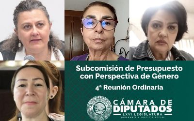 Subcomisión con Perspectiva de Género en C. de Diputados analizará en Septiembre el PPEF 2026.