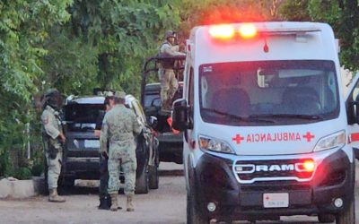 Violencia sin tregua en Sinaloa; hallan cinco hombres asesinados en tres municipios