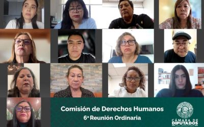 Asesores votan dictamen a nombre de diputados de Morena por «fallas de conexión»; PAN acusa «ilegalidad»
