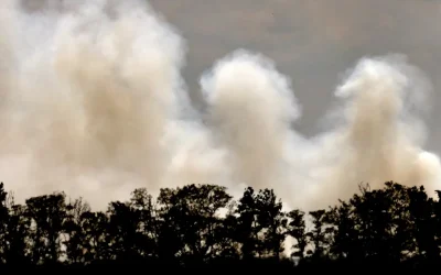 Alerta Cruz Roja que la actual ola de calor e incendios en Europa es “solo el comienzo”