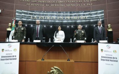 Seguridad Nacional también debe ser preocupación del Congreso de la Unión: Ana Lilia Rivera