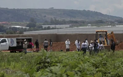Hallan 54 bolsas más con restos humanos en terreno de Zapopan; suman 233 desde febrero