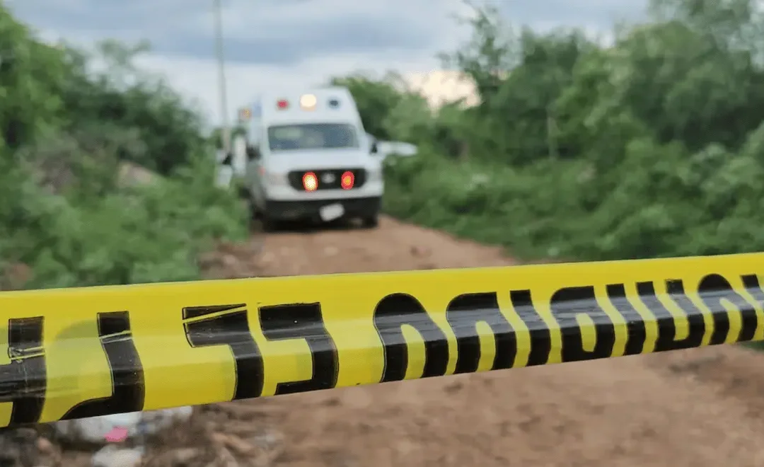 Hallazgo de restos óseos calcinados en límites de Teuchitlán, Jalisco