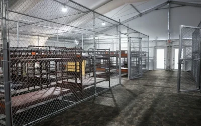 Migrantes describen un infierno en el centro de detención ‘Alligator Alcatraz’