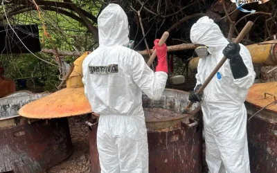 Aseguran casi una tonelada de metanfetamina en Sinaloa