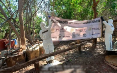 Desmantelan 6 laboratorios en Sinaloa y aseguran más de 4 toneladas de metanfetamina
