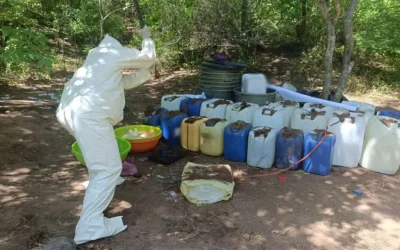 Desmantelan laboratorios clandestinos en Sinaloa; afectación a la delincuencia es de más de 150 mdp