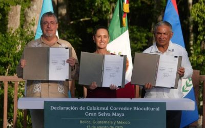 México, Guatemala y Belice crean el Corredor Biocultural de la Gran Selva Maya, el más grande del mundo