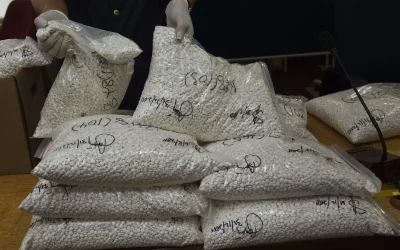 Decomisa México 900 kilos de metanfetamina en Chiapas