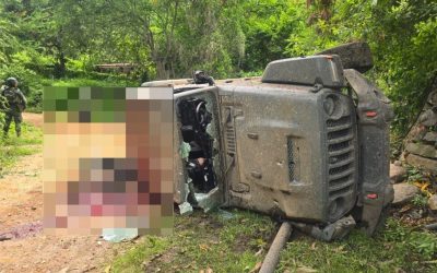 Hallan siete cuerpos en zona serrana de Concordia, Sinaloa