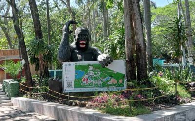 Investigan presunto robo de cocodrilo en zoológico de Veracruz