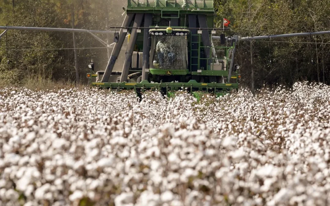Podría el cambio climático sin control reducir el PIB mundial per cápita hasta en un 24%