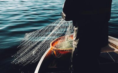 OMC endurece regulación de la pesca: prohíben subsidios en 166 países, incluido México